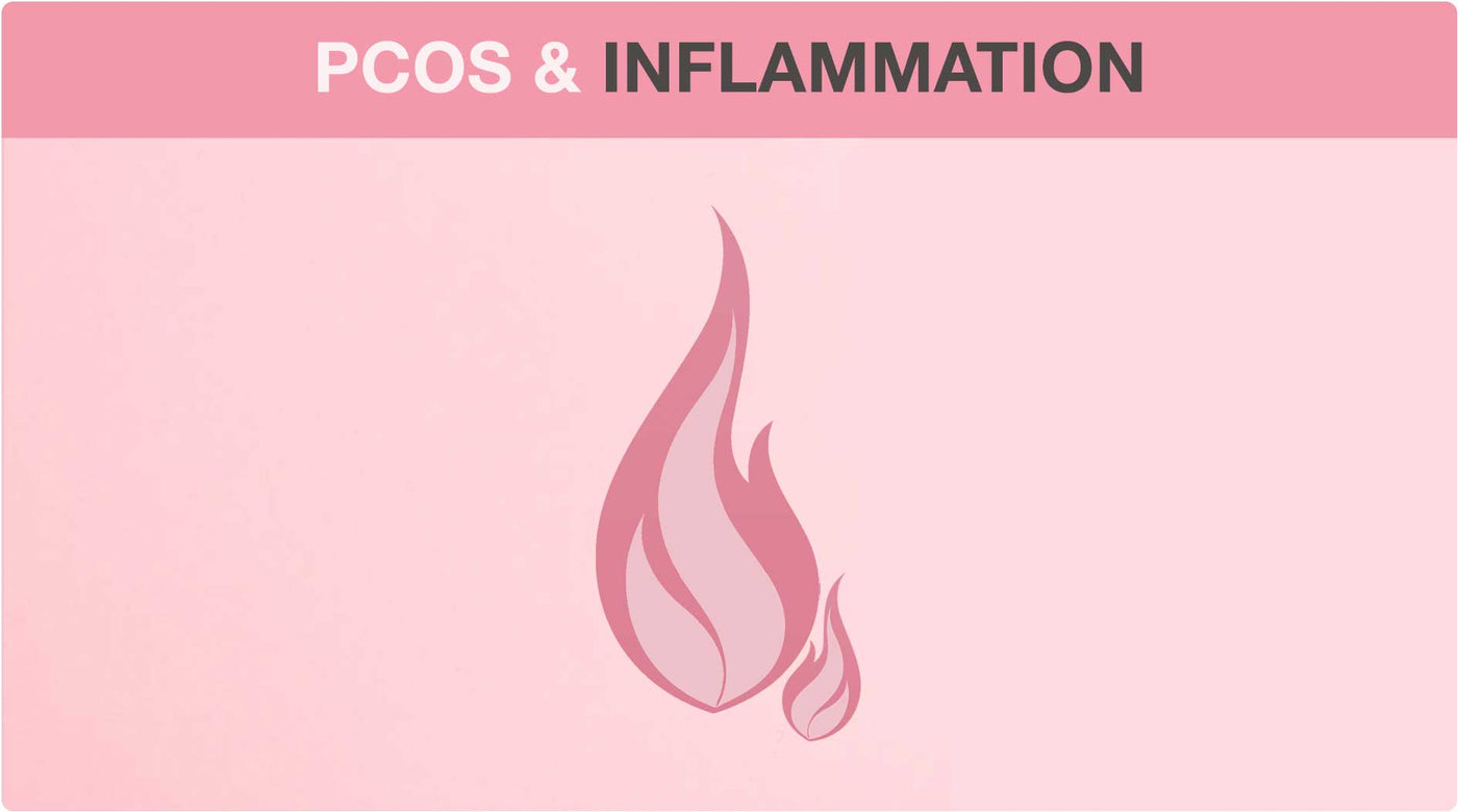 PCOS 101: PCOS And Inflammation